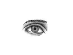 eye art large version